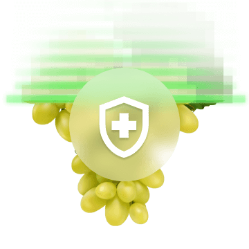 Plant Health